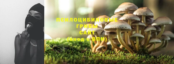 ALPHA-PVP Алексеевка