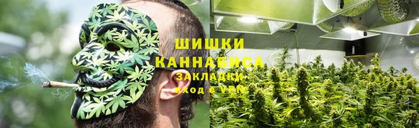 мяу мяу кристалл Алексин
