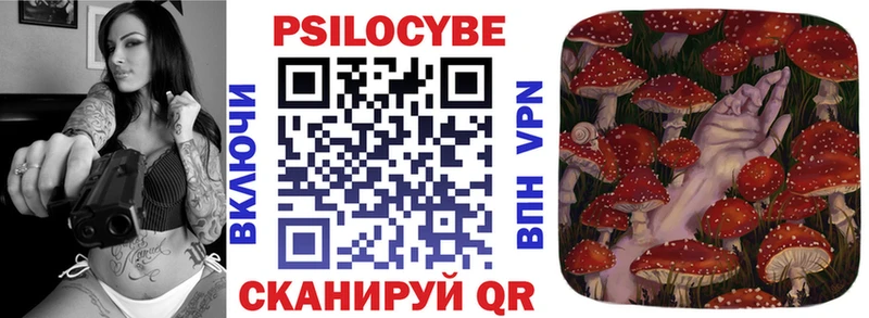 где можно купить   Льгов  Галлюциногенные грибы Psilocybe 